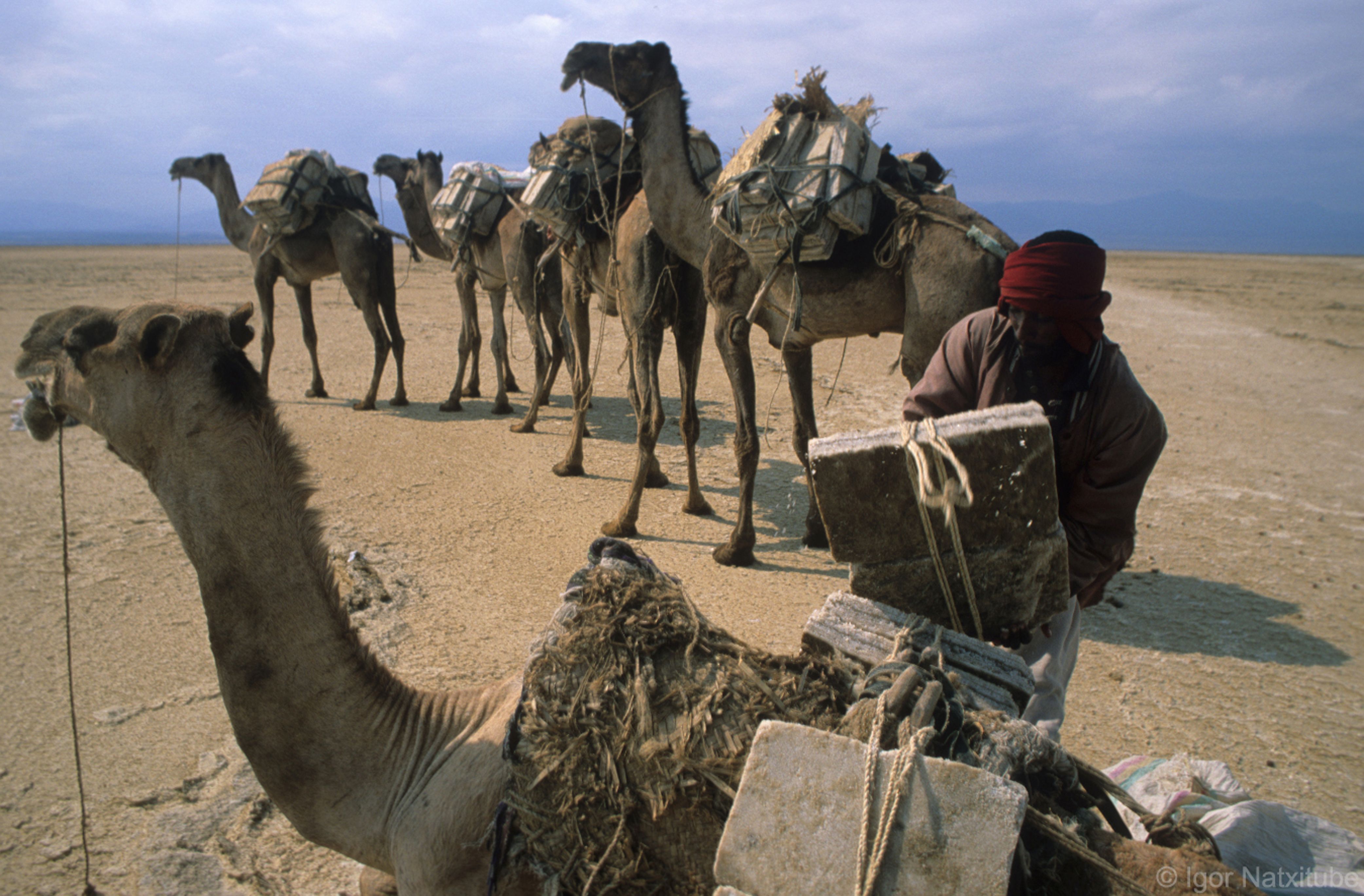 CARAVANAS DEL DANAKIL - ETIOP&Iacute;A